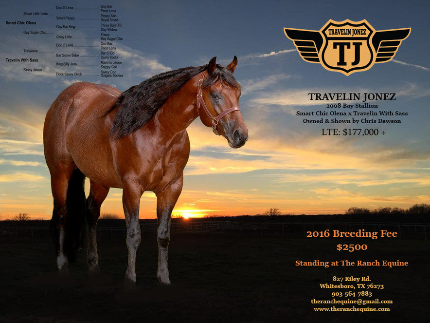 The Ranch Equine Store